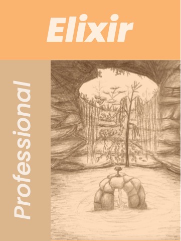 Professional Elixir 101