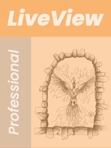 Professional LiveView