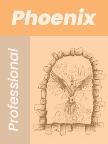 Professional Phoenix with Ecto